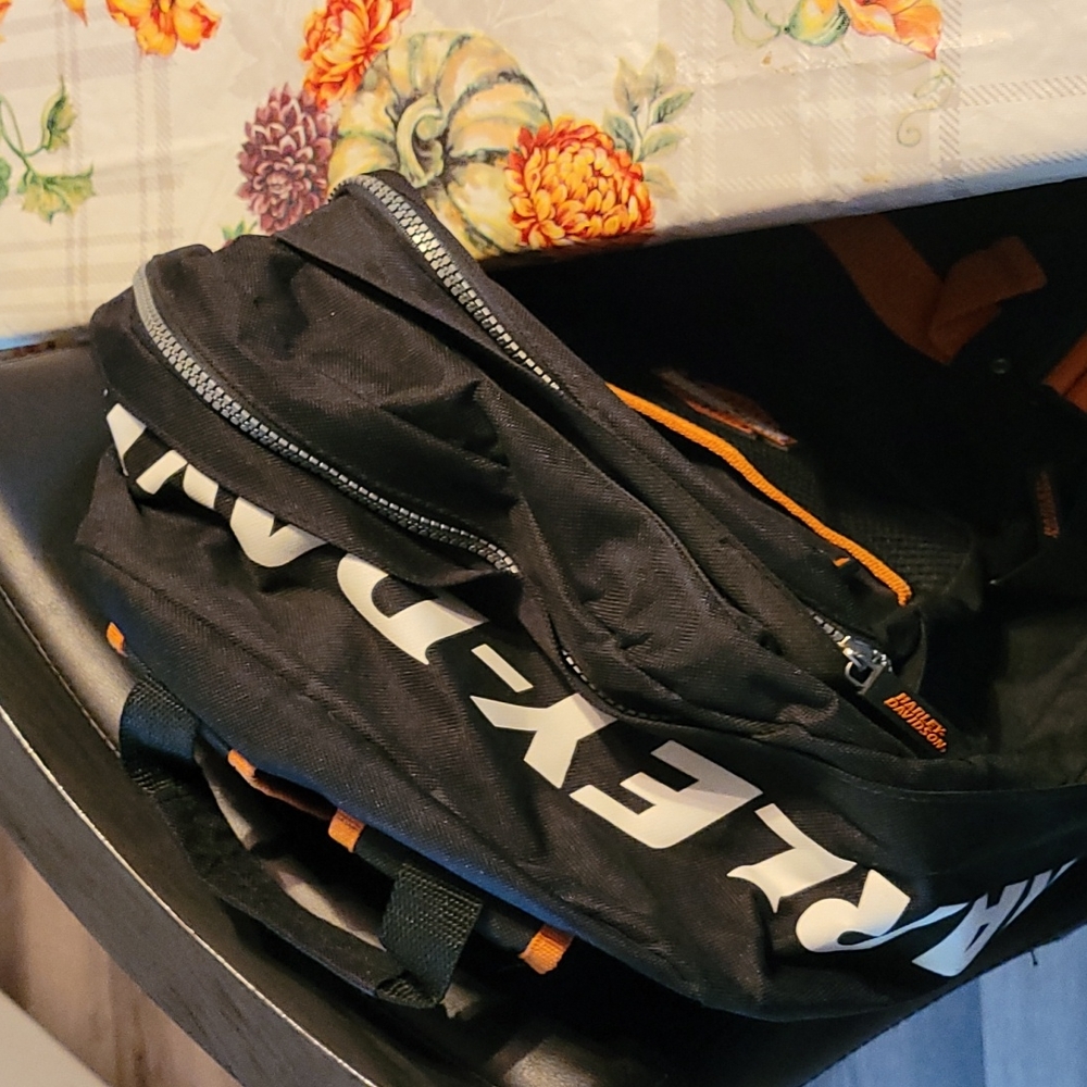 Backpack - Picture 2 of 2